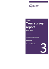 Level 3 survey front page